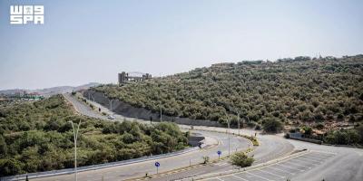 Al-Baha’s 221,000 Hectares of Forests Enrich Its Natural Landscape